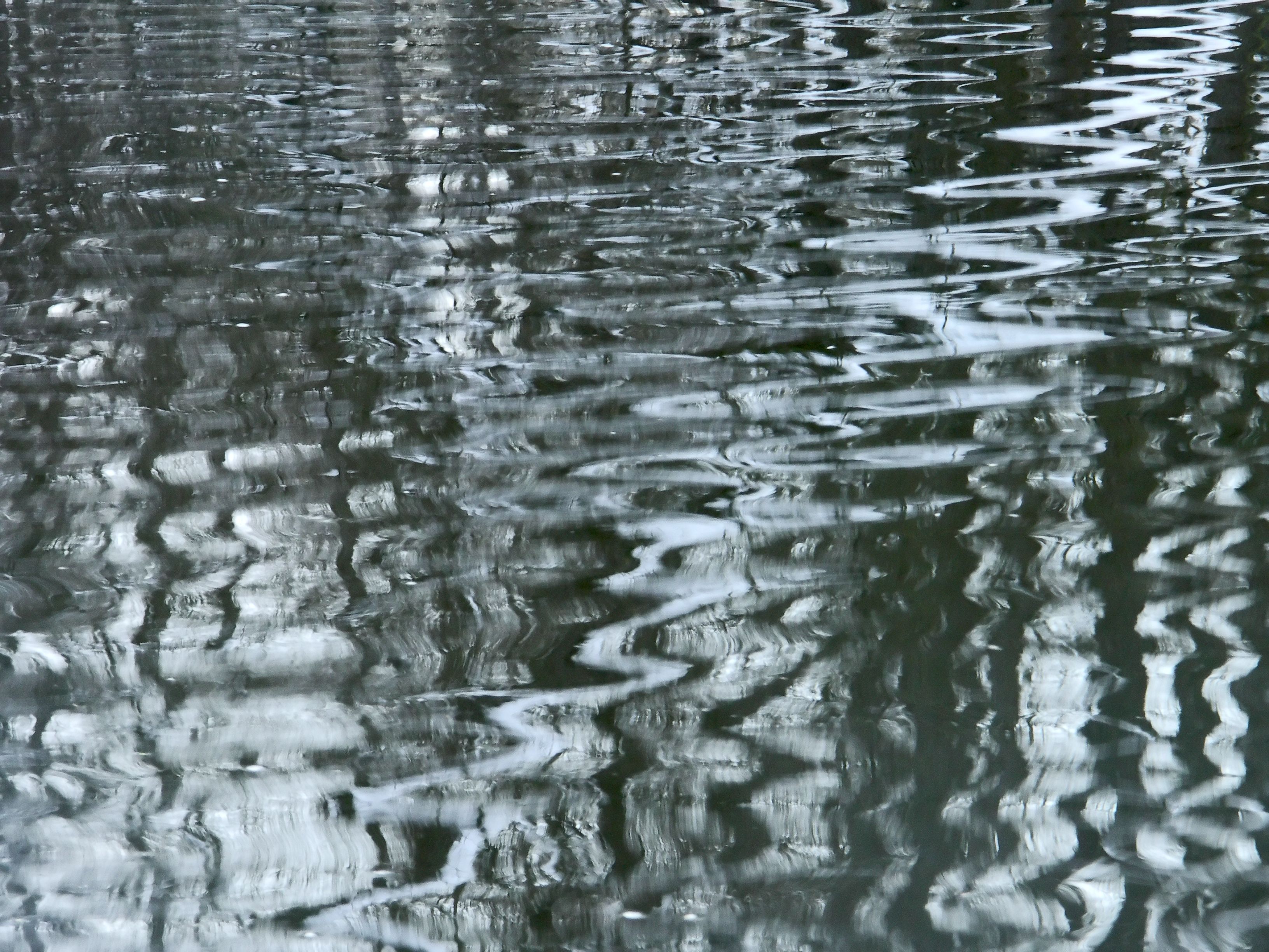 Jeff Beer, Vom Wasser - Waldnaab, Fotografie, 2006 (© Jeff Beer)