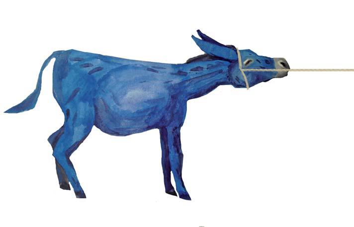 Illustration: Barbara Stefan
